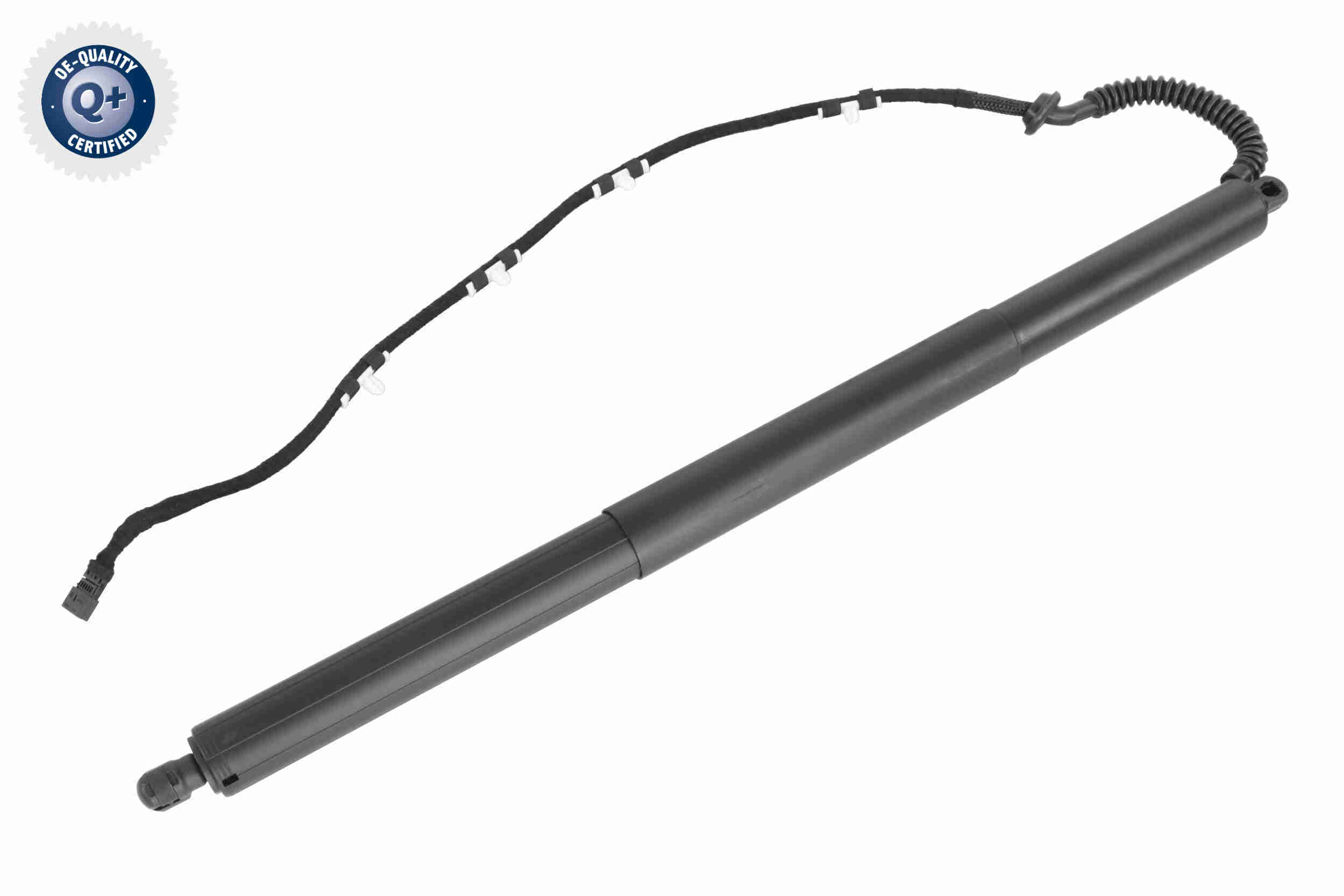 V20-55-0002