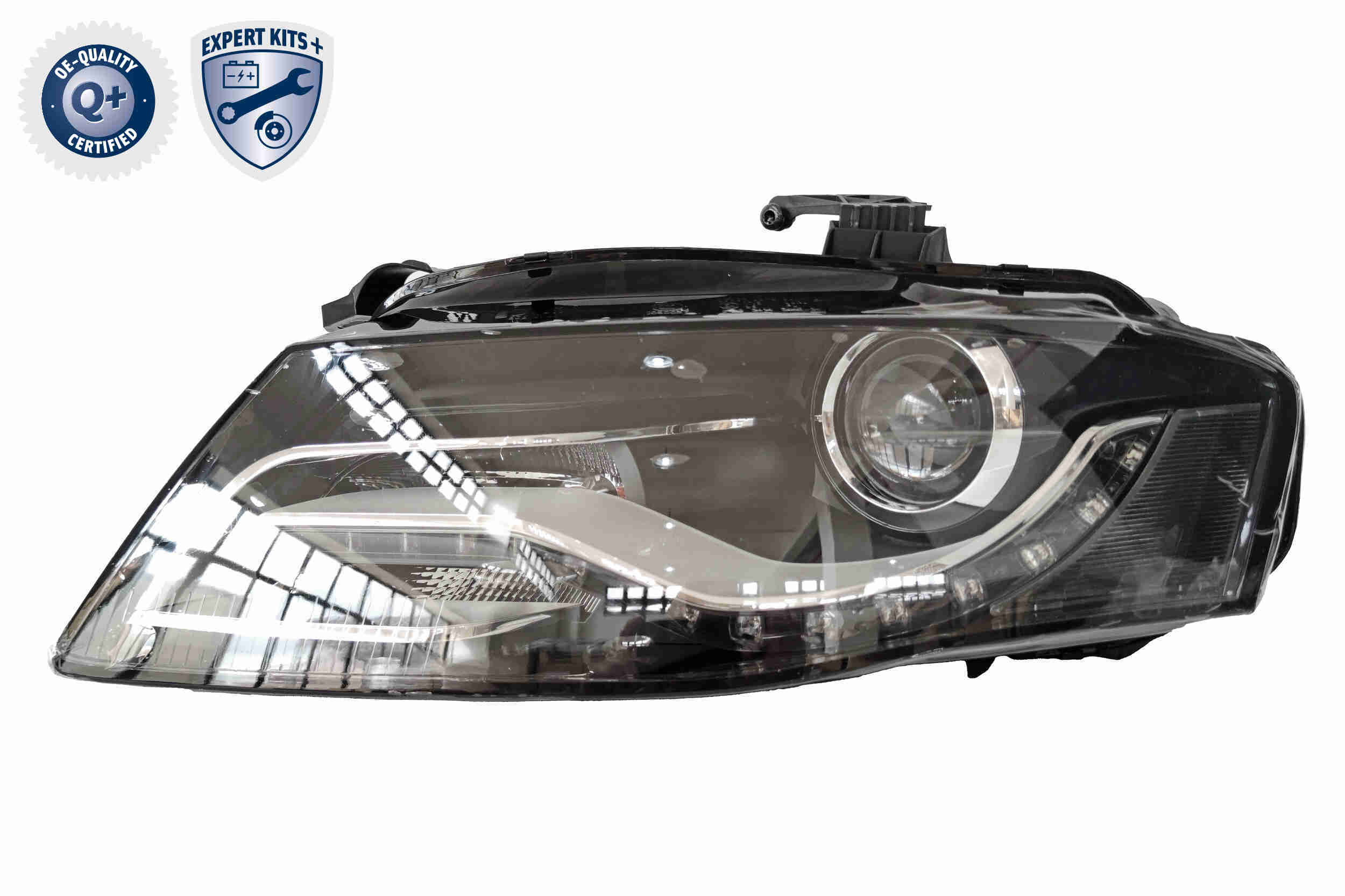 V10-78-0087