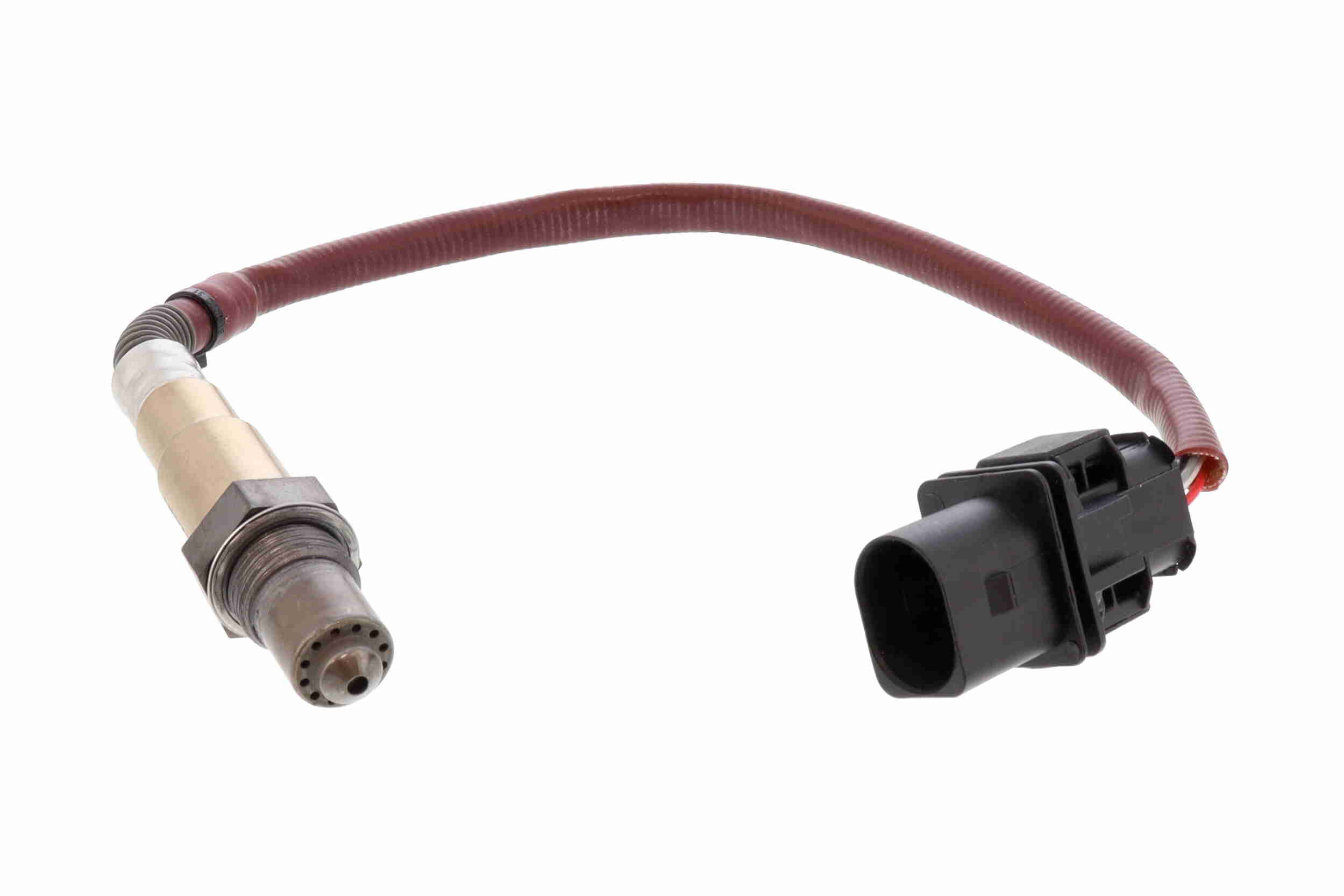 V30-76-0181