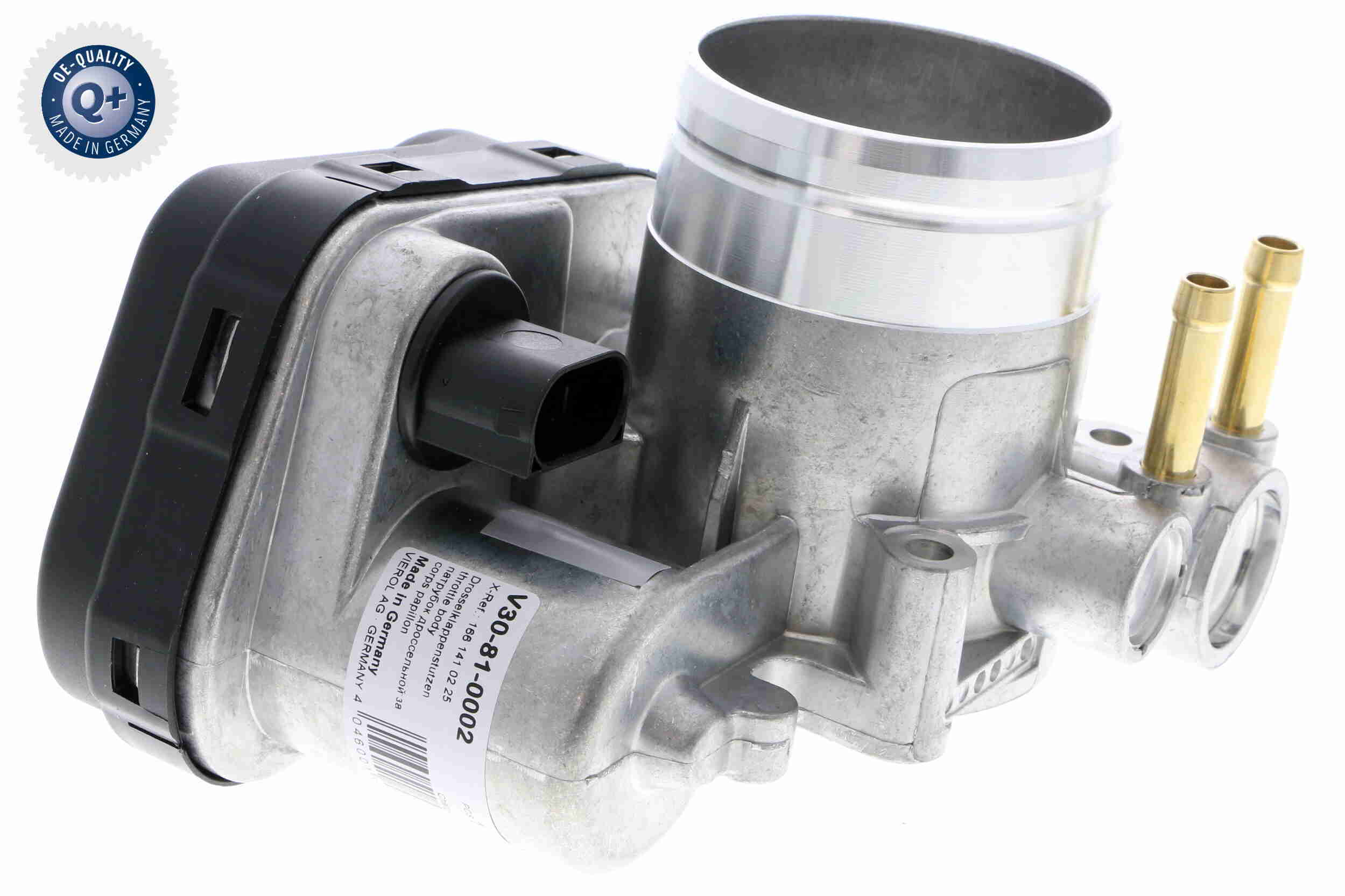 V30-81-0002