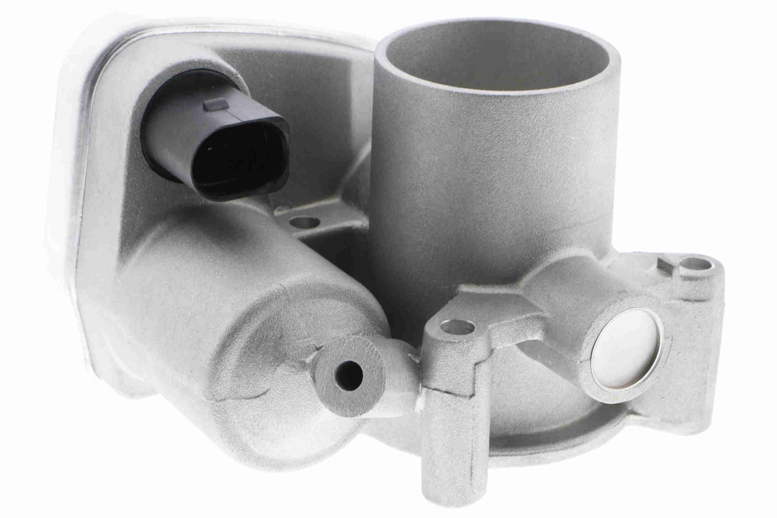 V10-81-0013