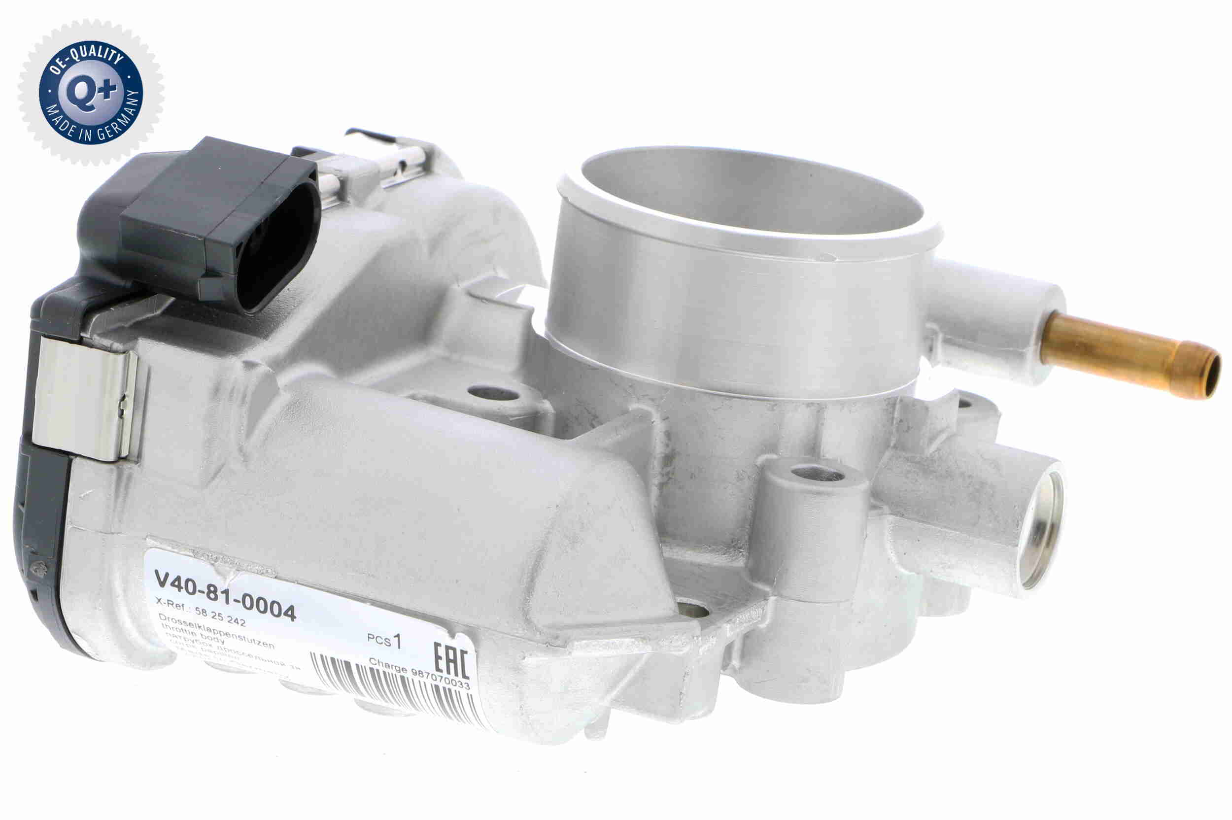 V40-81-0004