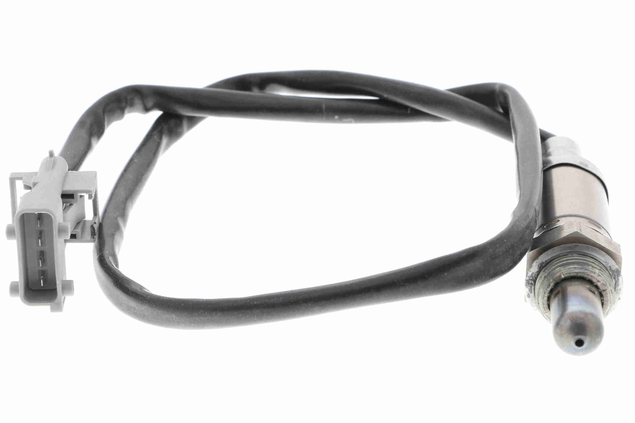 V95-76-0010