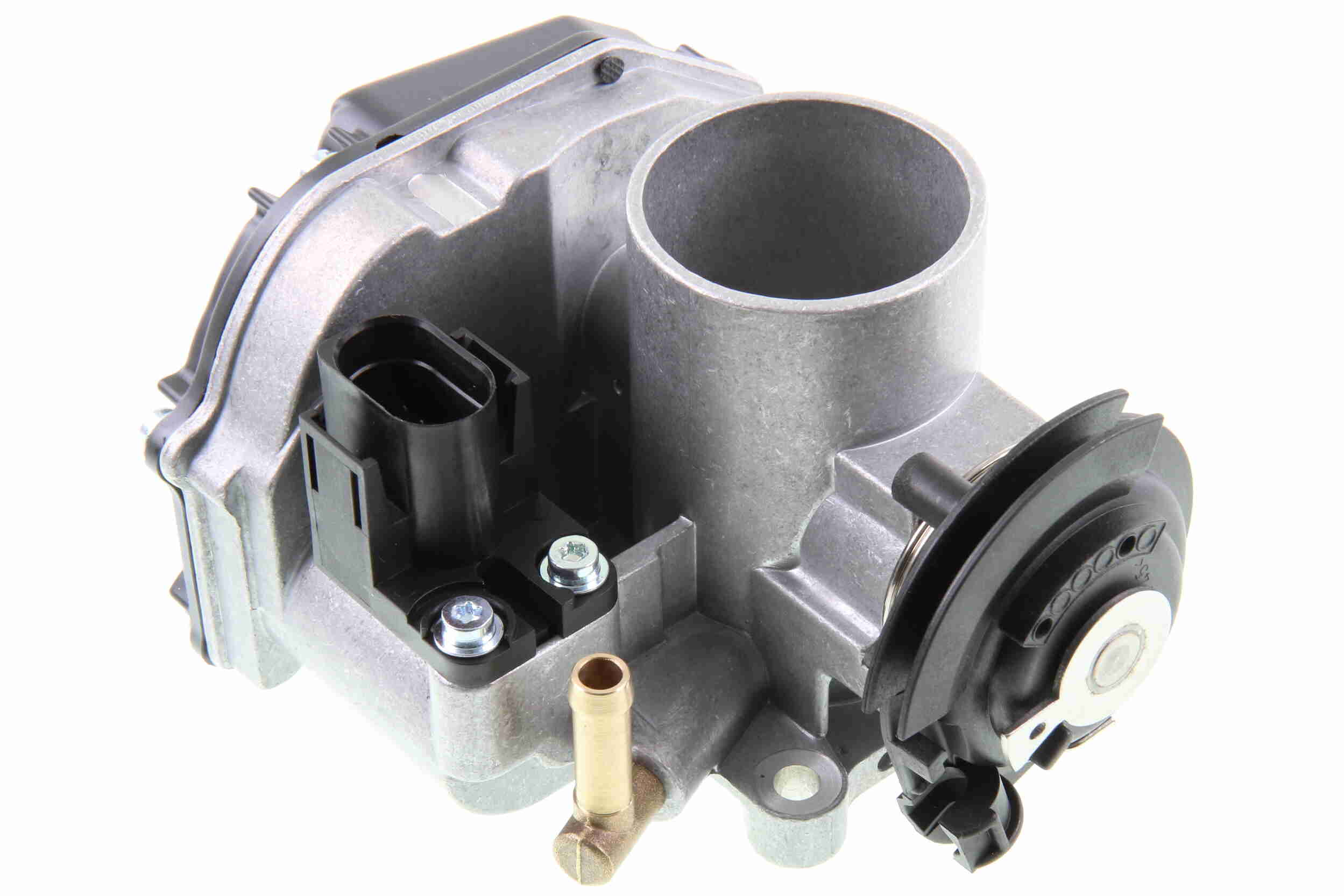 V10-81-0001-1