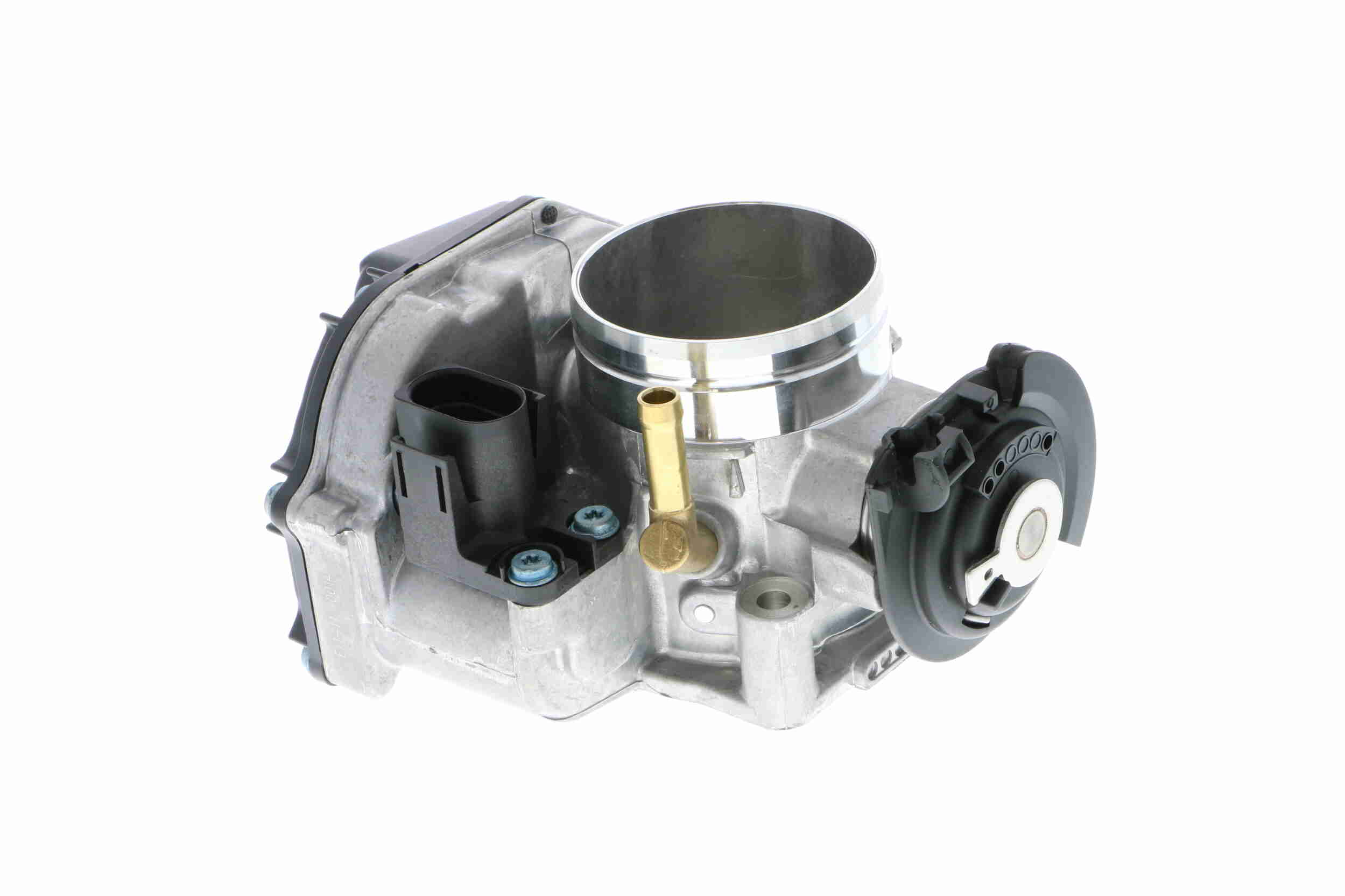 V10-81-0007