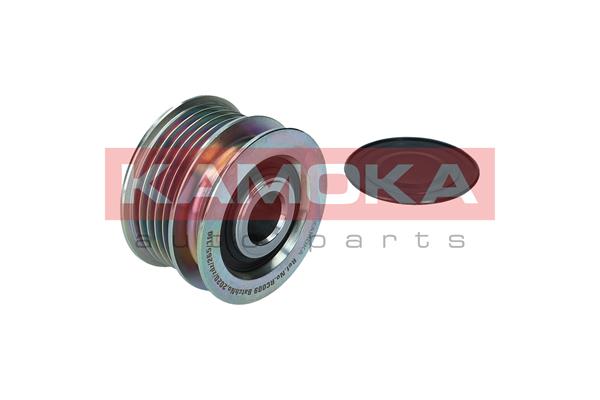 RC009