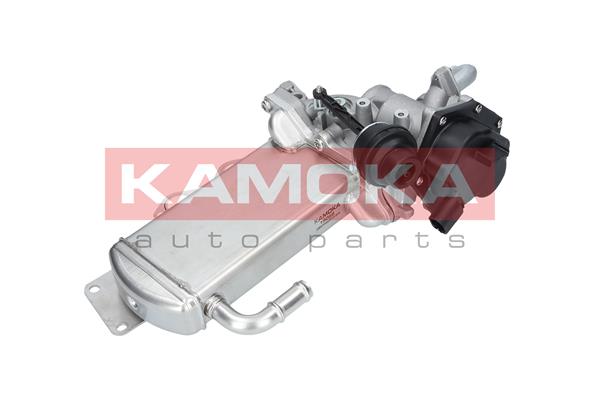 19068
