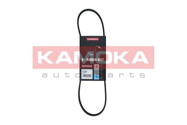 7013008