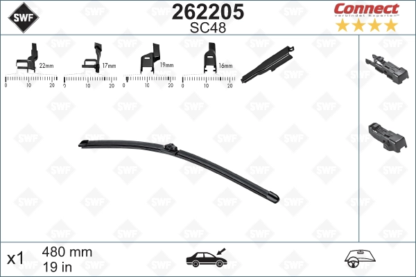 262205