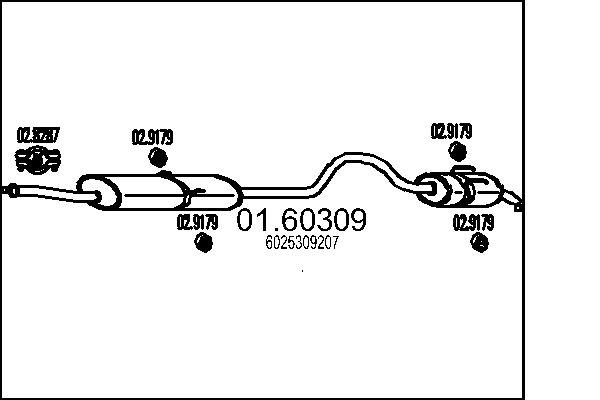 6025309207