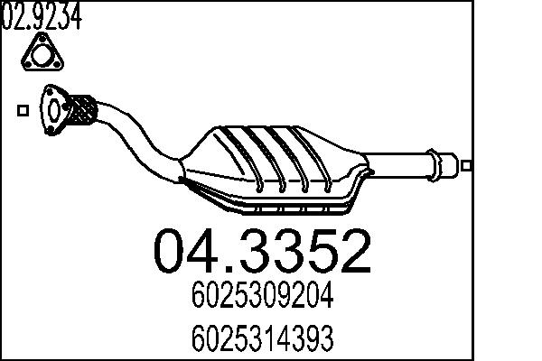 6025309204
