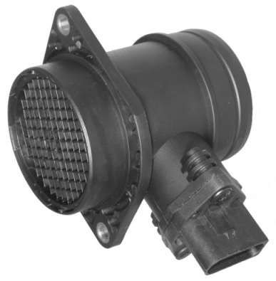 AMS304