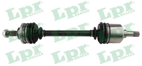 DS16217