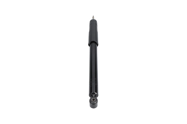 SSA-10166