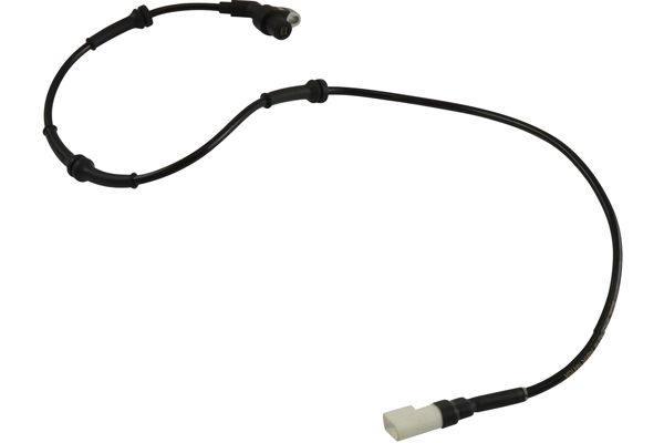 BAS-4519