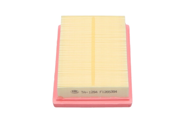 TA-1294