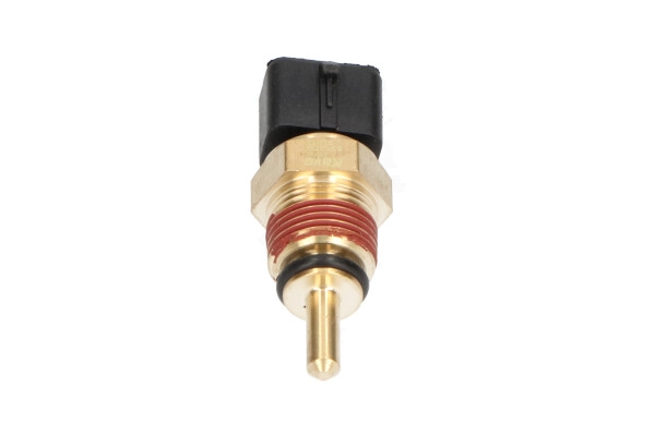 ECT-3004