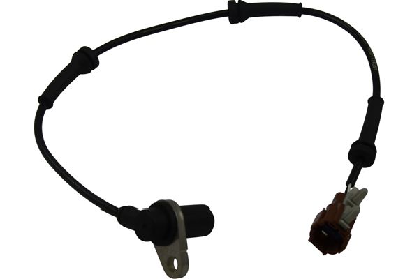 BAS-6505