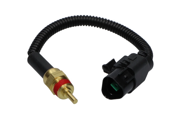 ECT-3006