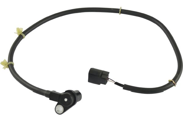 BAS-5543
