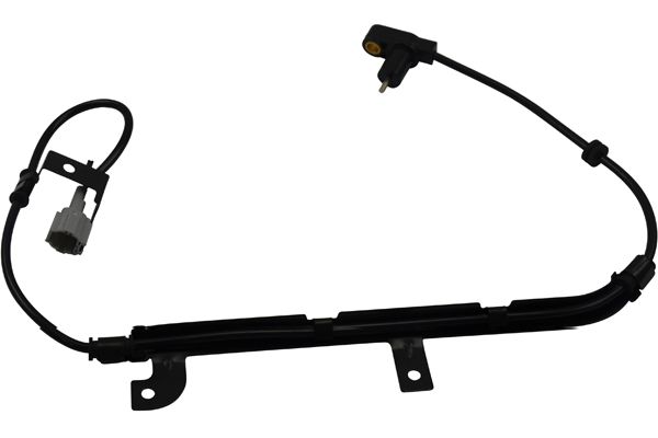 BAS-6501