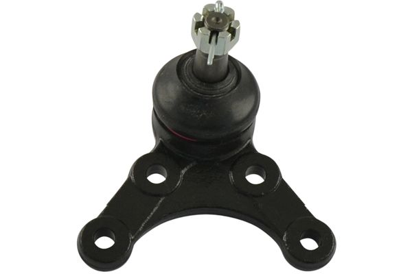 SBJ-4524