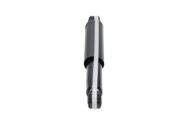 SSA-1009
