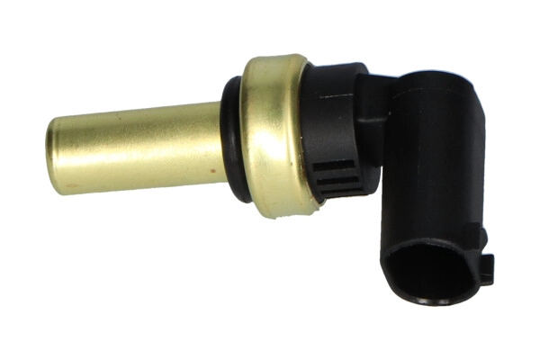 ECT-1009