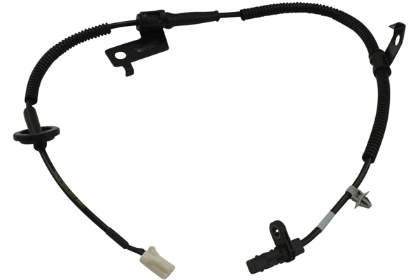 BAS-3166