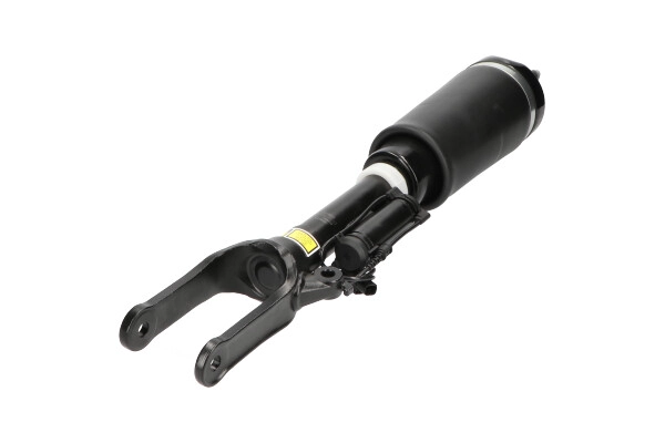 SAS-10022