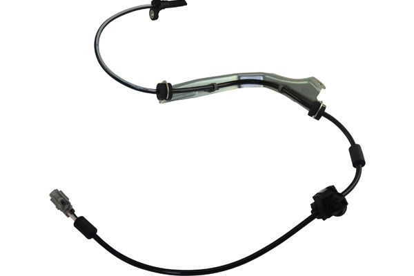 BAS-8004
