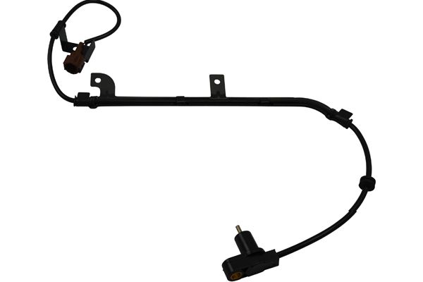 BAS-6503