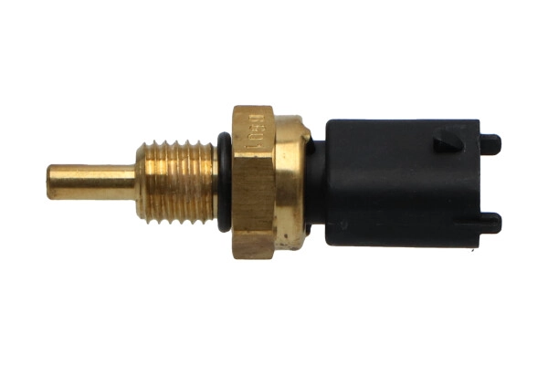 ECT-1012