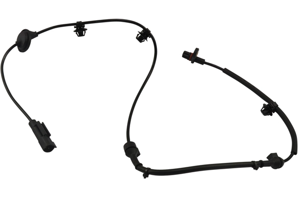 BAS-5598