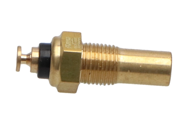 ECT-1007