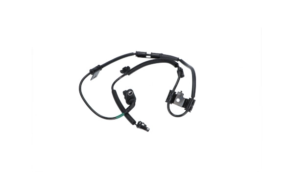 BAS-4004