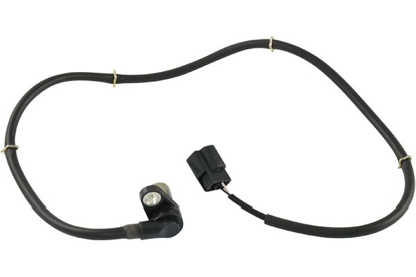 BAS-5546