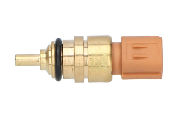 ECT-3005