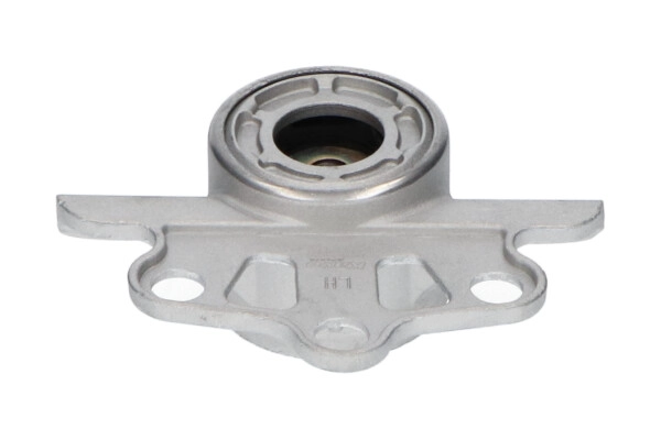 SSM-10011
