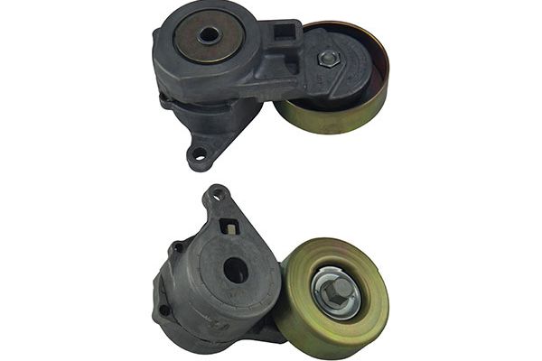 DTP-5501