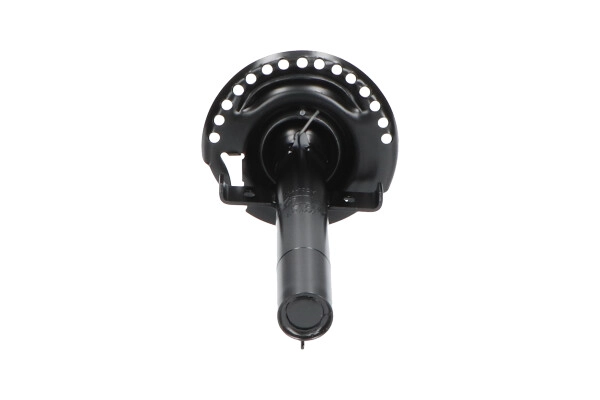 SSA-10219