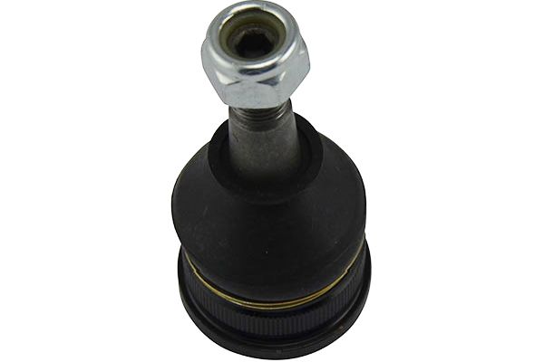 SBJ-4523
