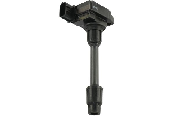 ICC-6538