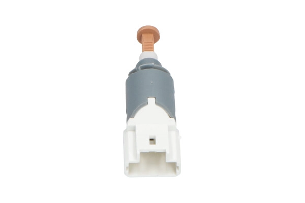 EBL-10002