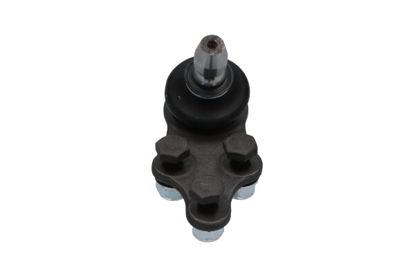 SBJ-1010