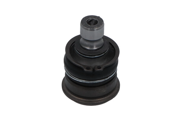 SBJ-6561