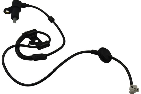 BAS-3038