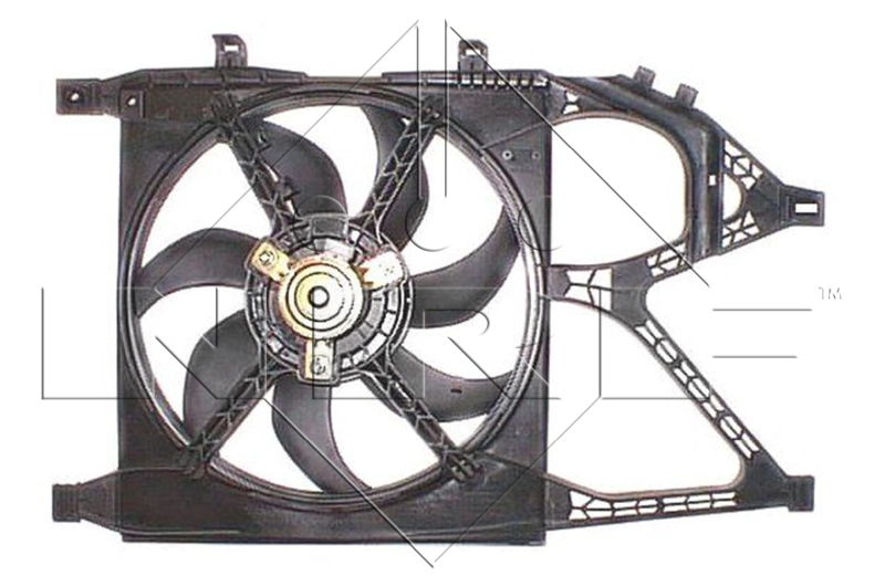 47313