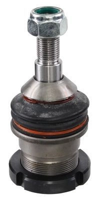 220449