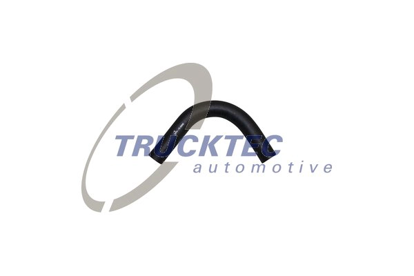 3875011482